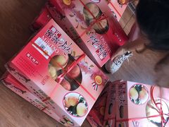-南汇新场正宗水蜜桃采摘