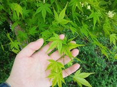 -泗洪洪泽湖湿地景区