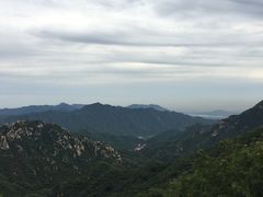 -大岭沟猕猴桃谷风景区
