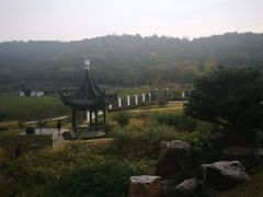 -龙寺生态园