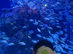 -成都浩海立方海洋公园