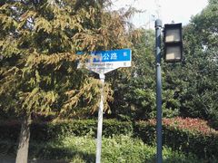 -上海长兴岛郊野公园