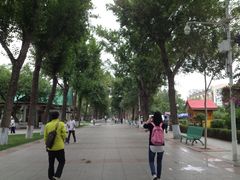 iphone_upload_pic-斯大林公园