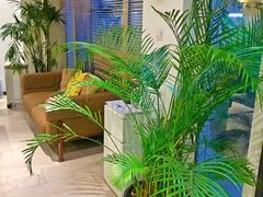 -Isofit 普拉提·婵柔工作室