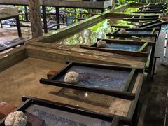 -大象粑粑造纸公园
