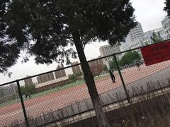 -东北大学(南湖校区)