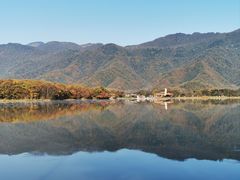 -大九湖