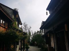 -尚贤河湿地