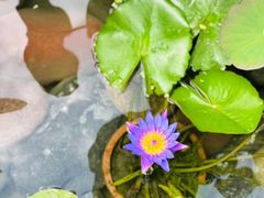 -田园印象·成都土菜院子(华阳店)