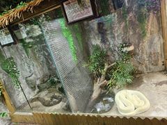 -上海大自然野生昆虫馆(东方明珠·爬宠昆虫探索中心)
