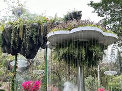 -广州市白云山风景名胜区