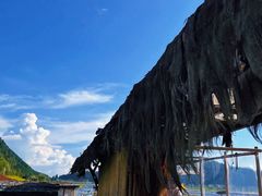 -腾冲北海湿地