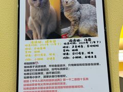 -正南齐北·老街糯米团(洪崖洞店)