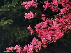 -白塘生态植物园