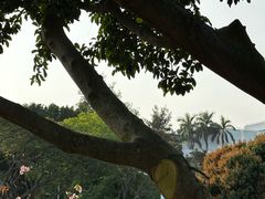 -狐尾山公园