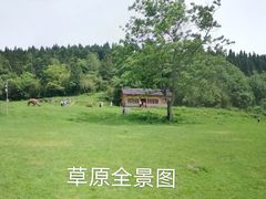 -武陵山森林公园