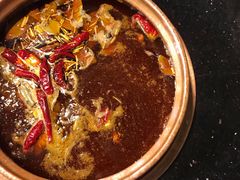 -镇江龙·火锅串串(武侯祠店)