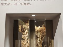 -北京中医药大学-中医药博物馆