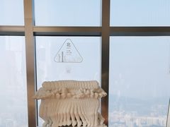 -平安金融中心云际观光层