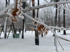 -鲁山国家森林公园