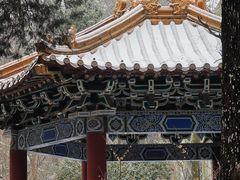 -梅花山(明孝陵内)