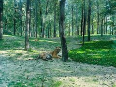 -北京野生动物园