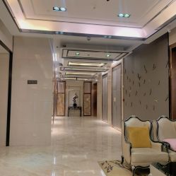 -明宇集团·积木枝芽母婴健康管理中心(天府店)