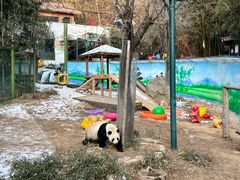 -栾川竹海野生动物园