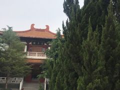 -神州牡丹园