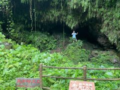-海口火山口国家地质公园