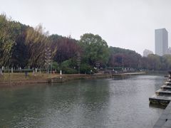 -桐乡植物园