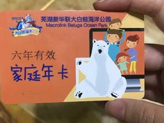 -芜湖新华联大白鲸海洋公园