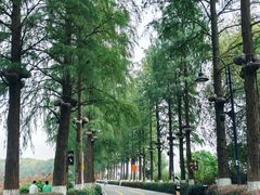 -东湖生态旅游风景区