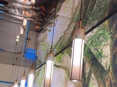 -大榕树下顺德菜(融创茂店)