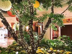 -拉斯维加斯永利酒店