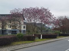 -明月山天沐温泉度假村