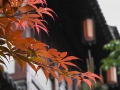 -胜达影像·佳能哈苏索尼