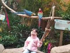 -杭州开元森泊度假乐园