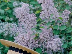 -瀛海足球主题公园