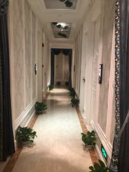 点击看大图 -MASA玛萨美容