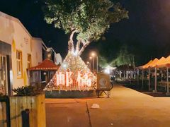 -前小桔亲子创意农场·草莓采摘·露营烧烤