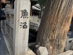-晋祠公园