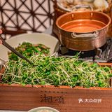 广州美食｜番禺高端精致湘菜餐厅🌿湘颂