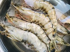 -众彩物流水产市场