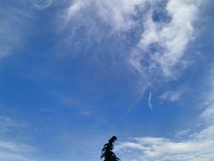 -曲江惠宾苑宾馆(大雁塔大唐不夜城店)