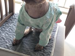 -海底捞火锅(龙湖三千集店)