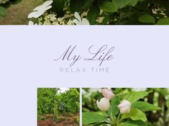 -广富林郊野公园