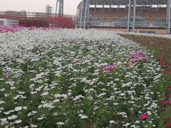 -海心沙亚运公园