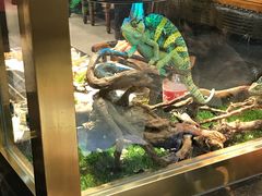 -老万烧烤(典逸心洲店)