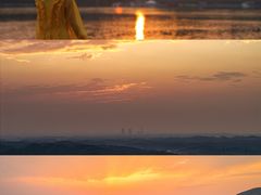 -酒仙湖景区